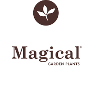 magical_garden_plantsZ2wWAFZhUHDV7